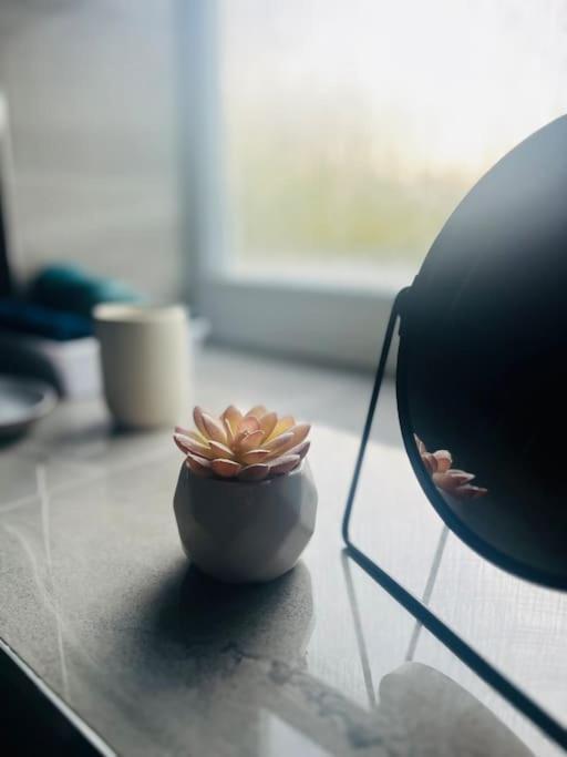 Modern 2 Bed Apartment With Free Parking And Netflix Dawley エクステリア 写真